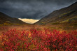 © Della_Liner - Stormy sky and fog in mountains. Red and yellow autumn northern meadow. Autumn in tundra. Lapland.