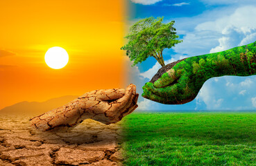 Wall Mural - tree in two hands with very different environments earth day or world environment day global warming