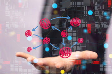people network structure hr - human resources management and recruitment