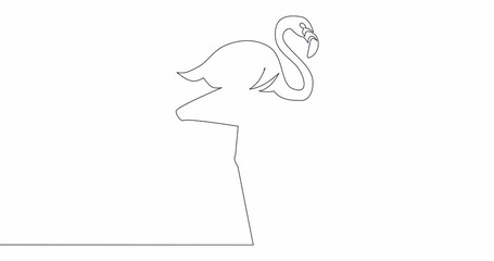 Wall Mural - Self drawing line animation Flamingo continuous line drawn concept