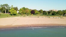 Seagulls Resting On Empty Beach On A Bright Sunny Day. Recently Raked Sand With No Footprints. Trees Scattered In The Park Creating Shade. Gentle Waves Washing Up Onto The Beach. 