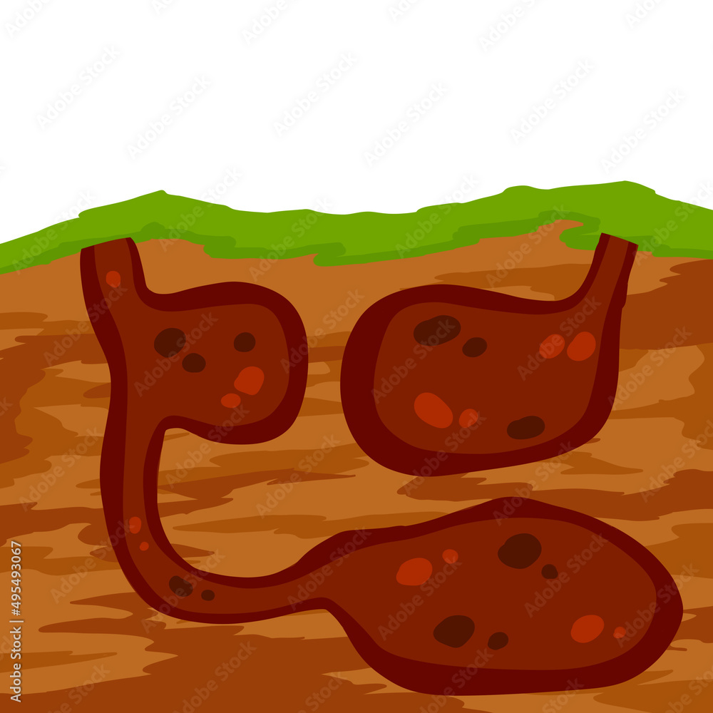 Underground Mouse Animal hole and burrow. Scheme of hiding insects and rodents, mice in ...