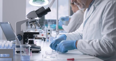 Wall Mural - medical researcher working in the laboratory