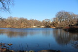Fototapeta Krajobraz - NYC: Central Park