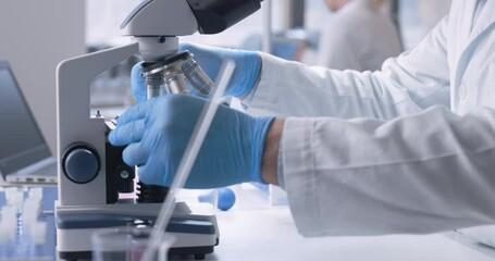 Wall Mural - medical researcher working in the laboratory