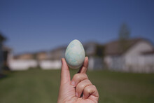 Easter Egg Dying In Back Yard.  Sweet Child  Coloring And Painting Eggs For Easter In Garden, Outdoors At Home In Backyard