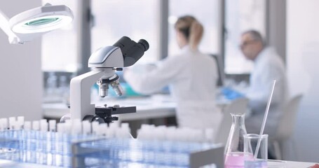 Wall Mural - medical researcher working in the laboratory