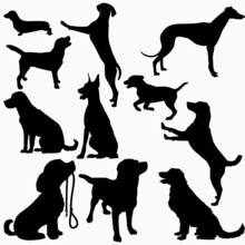 Set Vector Silhouettes Of The Dog, Different Poses, Standing, Jumping And Sitting, Black Color, Isolated On White Background