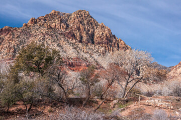 Wall Mural - Las Vegas, Nevada, USA - February 23, 2010: Red Rock Canyon Conservation Area. Trees in front of tall brown rocky peak under blue cloudscape. Dry bushes and old wooden pasture gate.