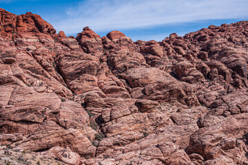 Wall Mural - Las Vegas, Nevada, USA - February 23, 2010: Red Rock Canyon Conservation Area. Brown knobbed flank of mountain range with some green trees in crevices under blue cloudscape.
