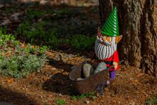 Metal Lawn Gnome Holding Pile Of Rocks In Wheelbarrow Standing On Top Of Beauty Bark And Debris.