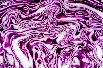  macro of purple cabbage cut in half