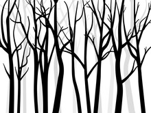 Bare Tree Silhouette Background. Tree Without Leaves Vector