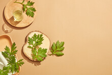 Top View Of Mugwort Decorated With Mortar And Pestile Wooden Dish In Wooden Background For Exfoliate Advertising 