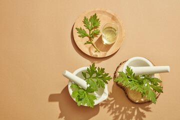 Top view of mugwort decorated with mortar and pestile wooden dish in wooden background for exfoliate advertising 