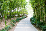 Fototapeta Sypialnia - Stone walkway is surrounded by bamboo