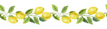 Seamless Border With Lemon Fruits, Citrus Flowers, And Branches. Hand Drawn Watercolor Images