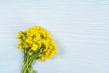 Sticker - beautiful rapeseed blossom flower on wooden table background