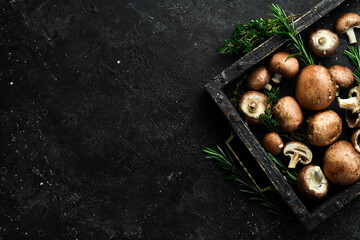 Fresh organic king champignons on a stone table. Top view.