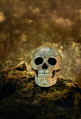 Wall Mural - decorative human skull on mossy trunk, natural autumn forest dark background. magic esoteric ritual. Mysticism, divination, wicca, occultism, Witchcraft concept