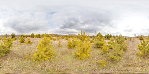 Wall Mural - Amazing landscape with blue sky at spring trees without greens and grass 3D spherical panorama with 360 degree viewing angle Ready for virtual reality vr Full equirectangular projection