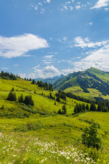 typical alpine landscape in early summer near damuls, vorarlberg, austria