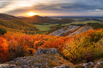 Wall Mural - majestic trees with sunny beams at mountain valley. dramatic and picturesque morning scene. red and 