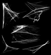 Overlay The Cobweb Effect. A Collection Of Spider Webs Isolated On A Black Background. Spider Web Elements As Decoration To The Design. Halloween Props