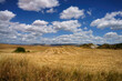 © Claudio Colombo - Rural landscape along the Cassia near Radicofani, Tuscany