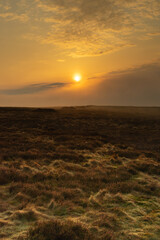 Wall Mural - Sunrise over Northumberland moorland