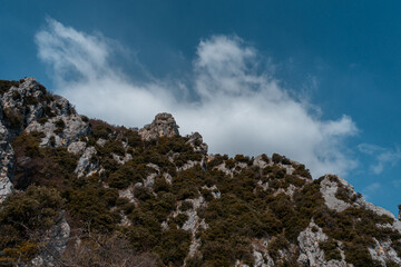 Sticker - Photo of a mountain top with shrubs and plants, and clouds in the sky