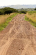 African safari dirt road
