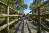 Fototapeta  - Drewniany pomost, kładka na szlaku turystycznym. Wydmy, morze, wiosna, lato, słoneczny dzień.