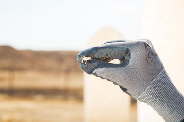 Wall Mural - Hand wearing a glove while holding a lizard outdoors