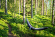 © Mari Mur - hammock in a forest