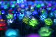 Closeup of the beautiful colorful glowing artificial flowers.