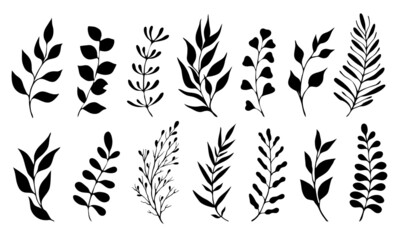 Wall Mural - Collection of leaf silhouettes. Set of tree branches