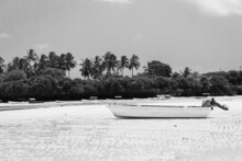 White Wooden Boat On White Sand Shallow, Black And White. Low Tide Landscape With White Boat. Sailboats At The Beach Of Indian Ocean. Zanzibar Seacoast. Tropical Lagoon With Palm Trees And Boats.