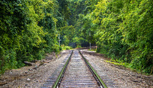 Rustic Railroad Track Disappearing Around Curve Into Forest-selective Focu