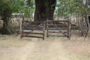 two wooden fences standing next to each other in the countryside in front of plants and trees