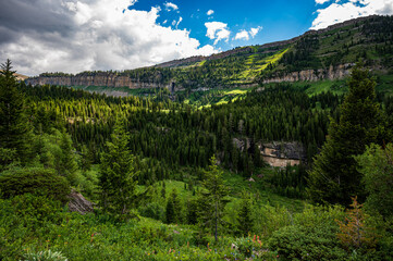 Canvas Print - View to The Darby Canyon in Victor Idaho, USA