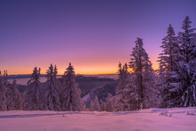 Beautiful View Of The Trees In The Mountains All Covered With Snow At The Sunset
