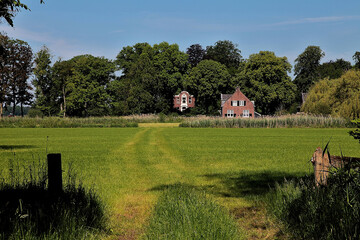 Canvas Print - Beautiful shot of countryside in Bathmen, Netherlands