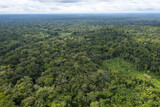 Fototapeta Na ścianę - Aerial view over a vast tropical forest canopy: the amazon forest runs from Ecuador to Brazil