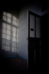 Wall Mural - Vertical shot of a creepy dark door in an abandoned building