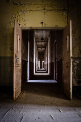 Wall Mural - Vertical shot of a creepy corridor in an abandoned house