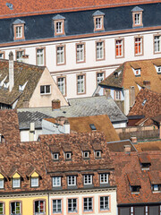 Canvas Print - Strasbourg rooftops