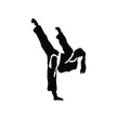taekwondo logo vector illustration 