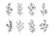 © Asyam Design - Hand drawn vector design floral elements