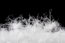 Soft Fluffy White Down Feather On Black Background.